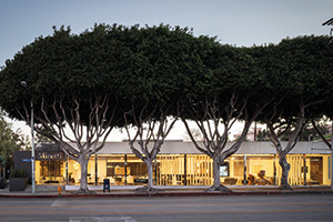 Minotti Los Angeles by Ecru Inc.